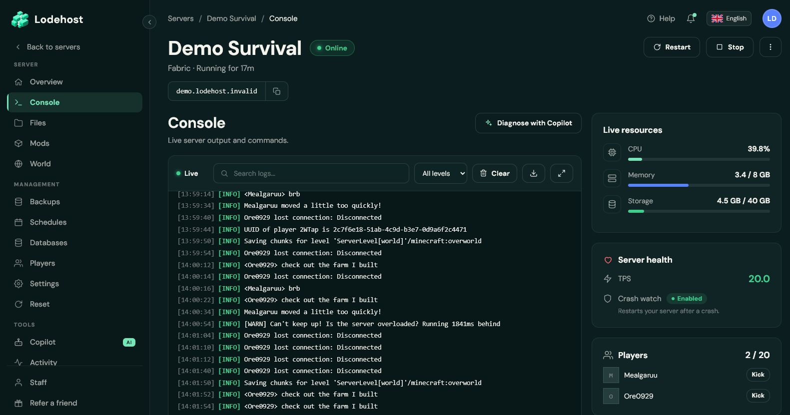The real Lodehost Console showing memory usage, server health and players on a demo server