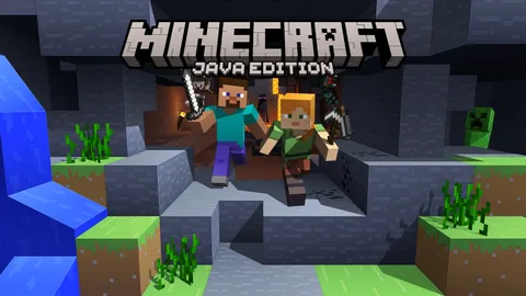 Java edition on a Lodehost Minecraft server